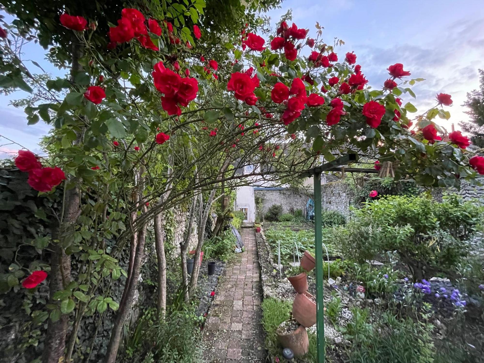 B&B Chez Sylvain Beaugency Exteriör bild